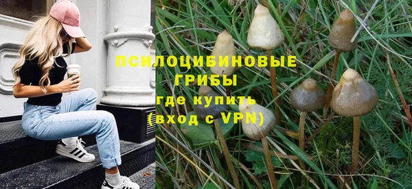 круглые Коряжма