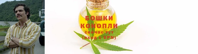 круглые Коряжма