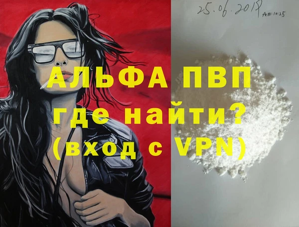 ешки Корсаков