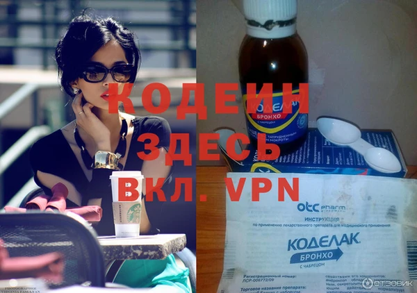 ешки Корсаков