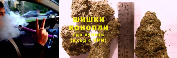 ешки Корсаков