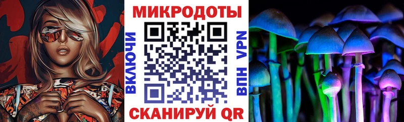 Галлюциногенные грибы Magic Shrooms  Купить где  Змеиногорск 