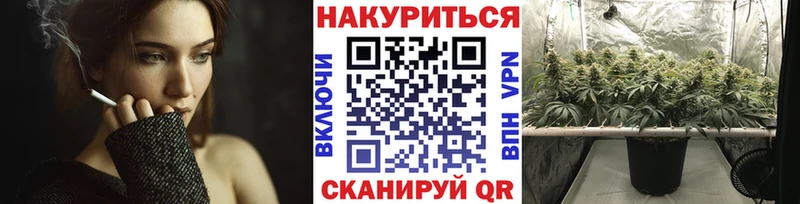 Бошки Шишки Bruce Banner  Купить где  Змеиногорск 
